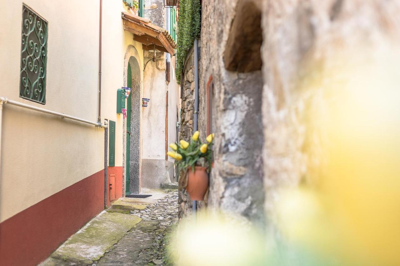 Albergo Diffuso Ca' Spiga 拉利奥 外观 照片